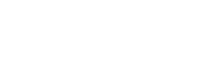 Forge Motorsport